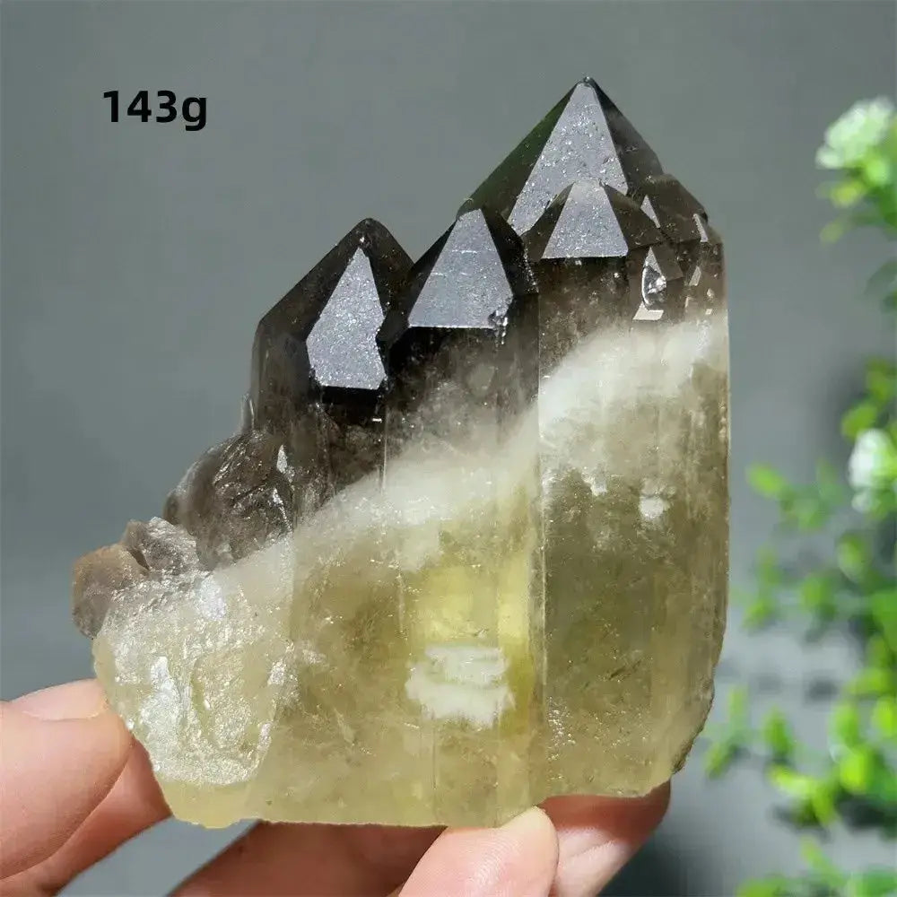 Citrine Crystal Clusters for Home Decor - Uplift Your Space Naturally-Points-Ali-Citrine-D12 143g-Crystal Destiny