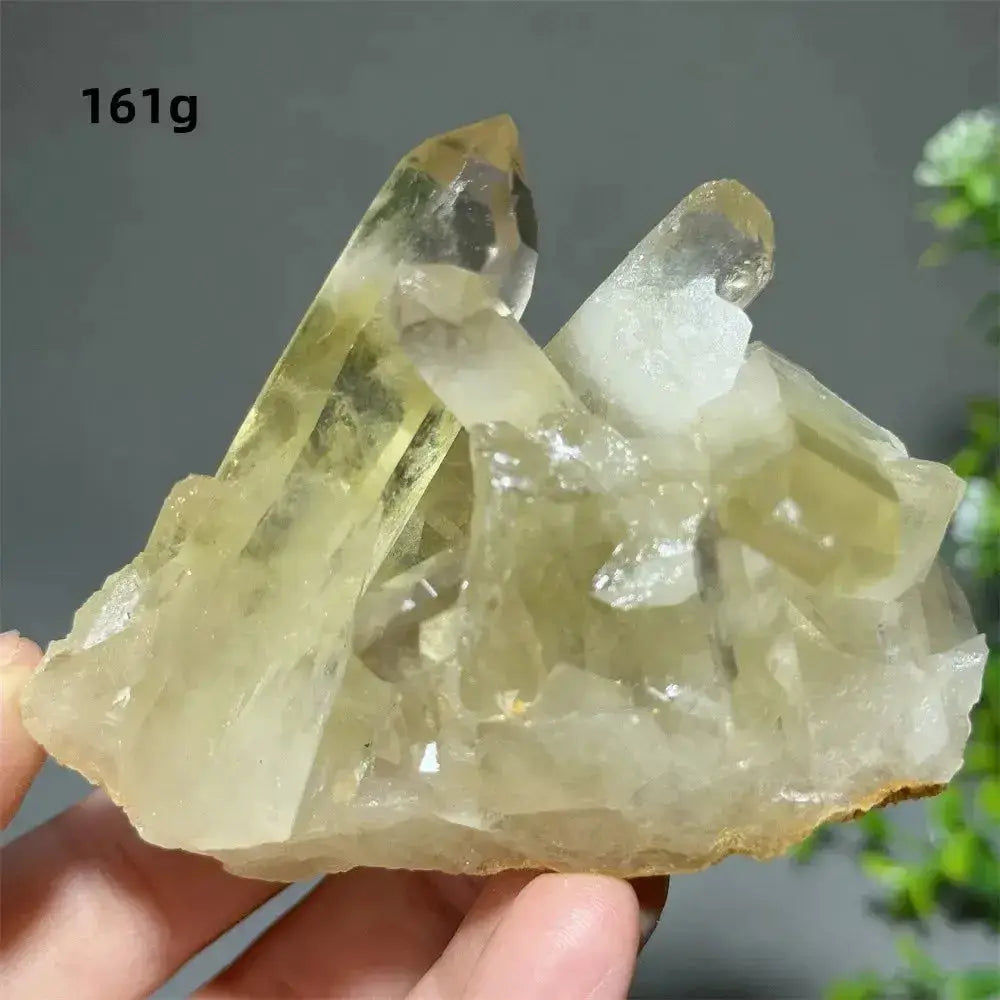 Citrine Crystal Clusters for Home Decor - Uplift Your Space Naturally-Points-Ali-Citrine-D16 161g-Crystal Destiny