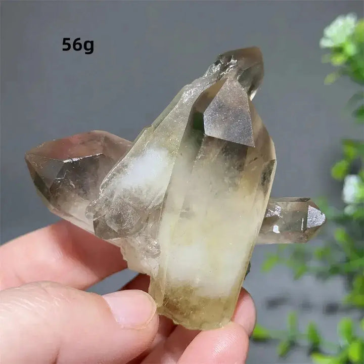 Citrine Crystal Clusters for Home Decor - Uplift Your Space Naturally-Points-Ali-Citrine-D17 56g-Crystal Destiny