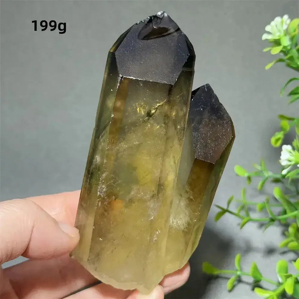 Citrine Crystal Clusters for Home Decor - Uplift Your Space Naturally-Points-Ali-Citrine-D19 199g-Crystal Destiny