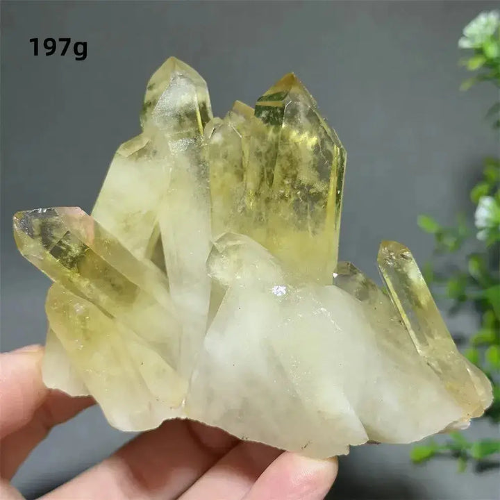 Citrine Crystal Clusters for Home Decor - Uplift Your Space Naturally-Points-Ali-Citrine-D2 197g-Crystal Destiny