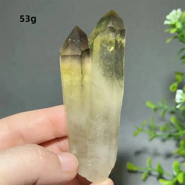 Citrine Crystal Clusters for Home Decor - Uplift Your Space Naturally-Points-Ali-Citrine-D22 53g-Crystal Destiny