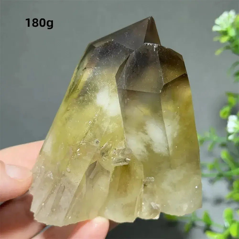 Citrine Crystal Clusters for Home Decor - Uplift Your Space Naturally-Points-Ali-Citrine-D23 180g-Crystal Destiny