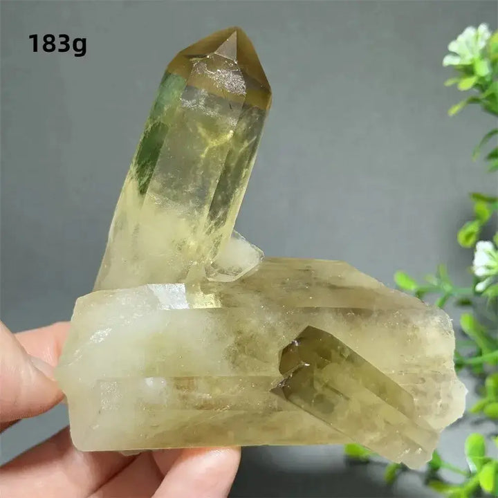 Citrine Crystal Clusters for Home Decor - Uplift Your Space Naturally-Points-Ali-Citrine-D28 183g-Crystal Destiny