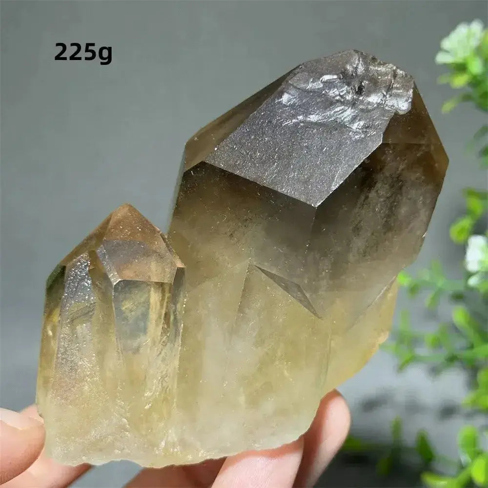 Citrine Crystal Clusters for Home Decor - Uplift Your Space Naturally-Points-Ali-Citrine-D29 225g-Crystal Destiny