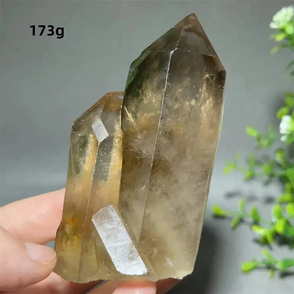 Citrine Crystal Clusters for Home Decor - Uplift Your Space Naturally-Points-Ali-Citrine-D3 173g-Crystal Destiny