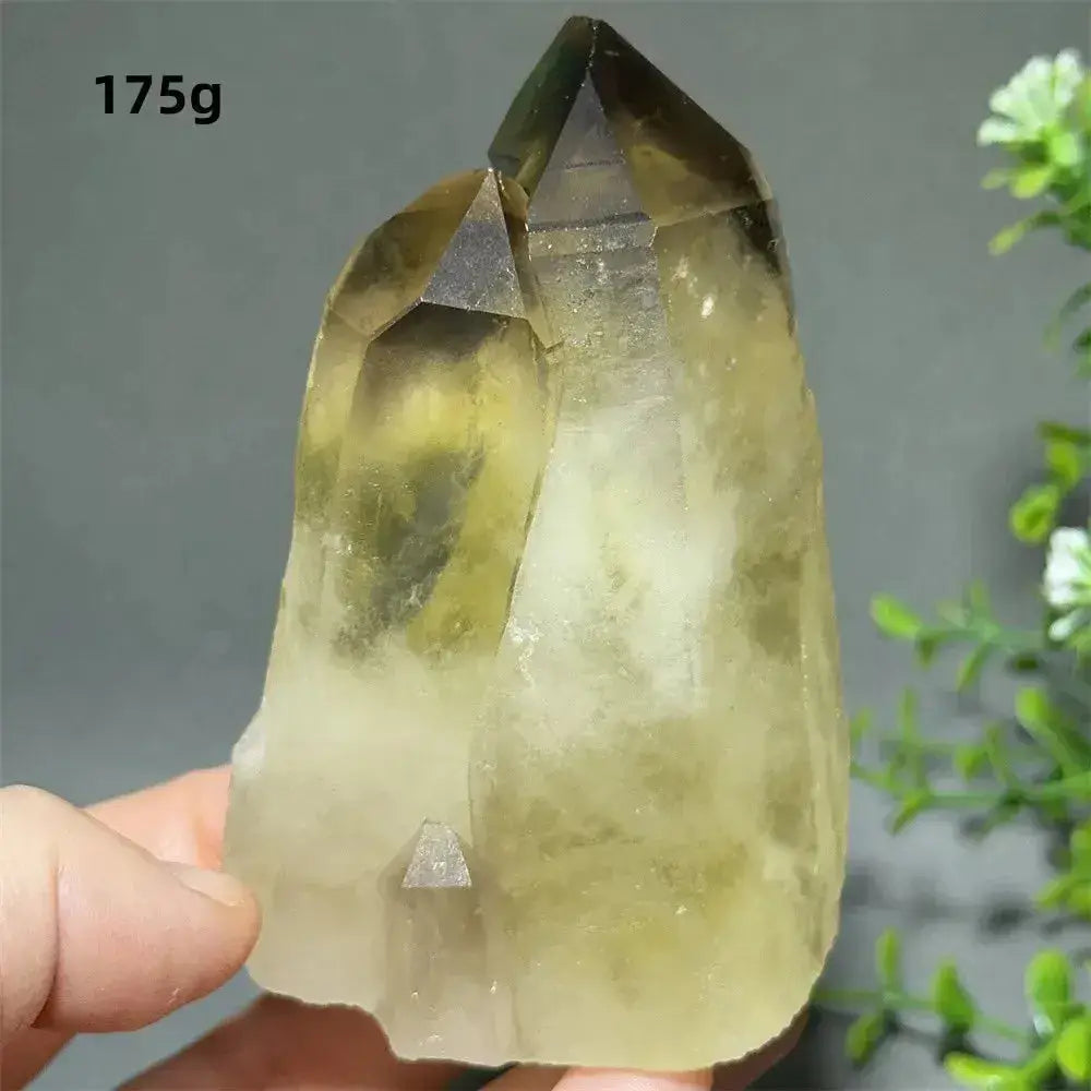 Citrine Crystal Clusters for Home Decor - Uplift Your Space Naturally-Points-Ali-Citrine-D30 175g-Crystal Destiny