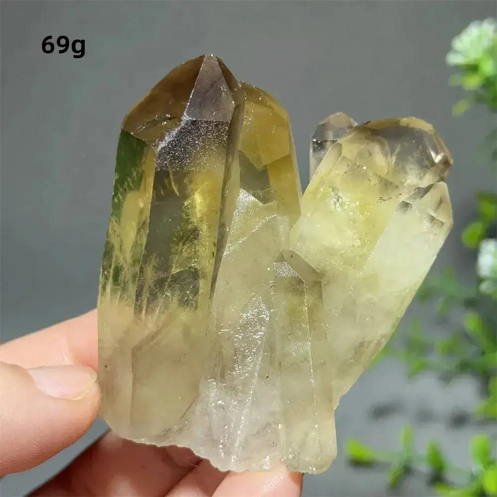 Citrine Crystal Clusters for Home Decor - Uplift Your Space Naturally-Points-Ali-Citrine-D31 69g-Crystal Destiny