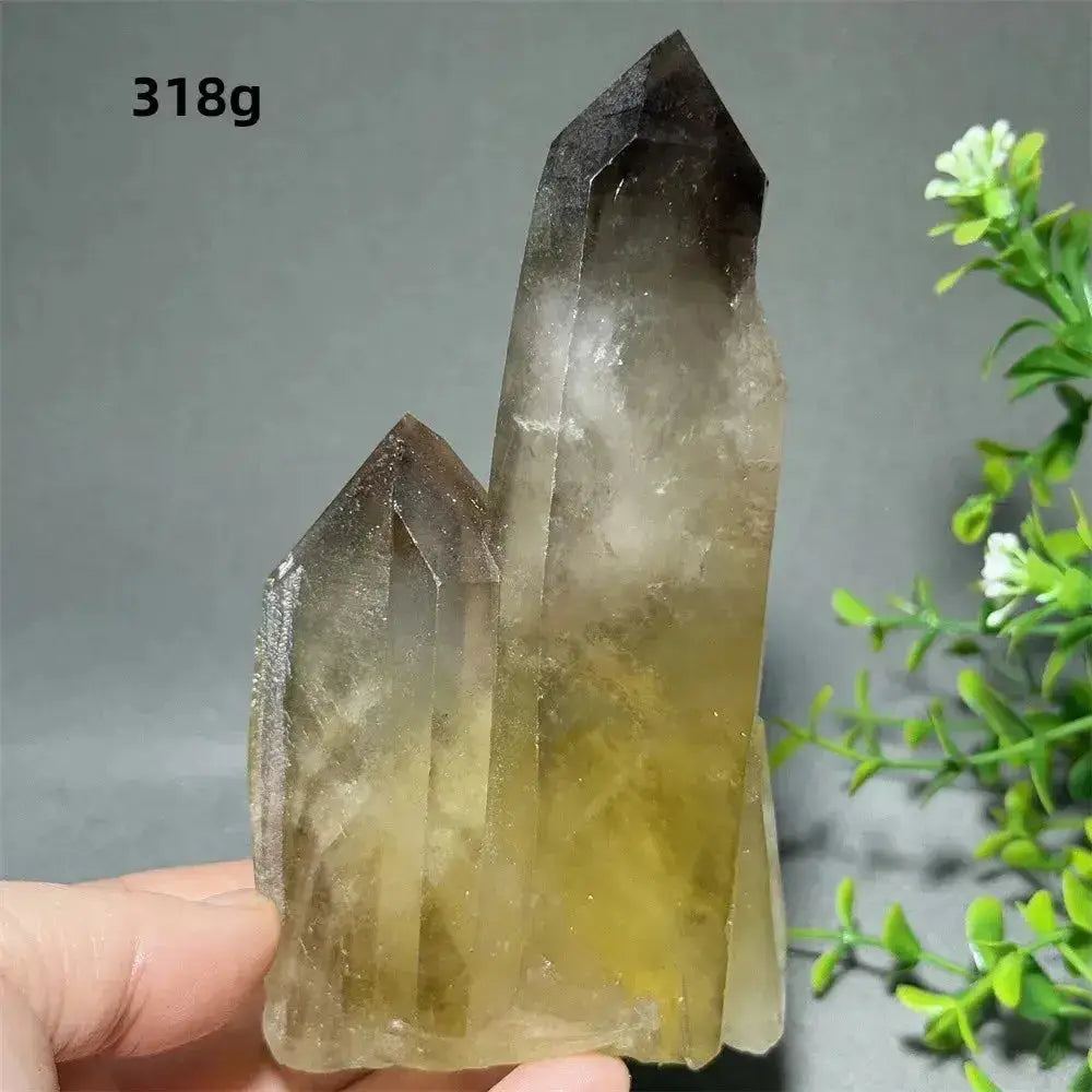 Citrine Crystal Clusters for Home Decor - Uplift Your Space Naturally-Points-Ali-Citrine-D33 318g-Crystal Destiny