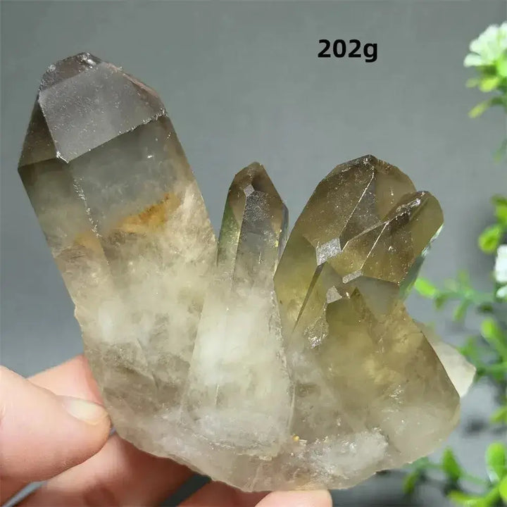 Citrine Crystal Clusters for Home Decor - Uplift Your Space Naturally-Points-Ali-Citrine-D36 202g-Crystal Destiny