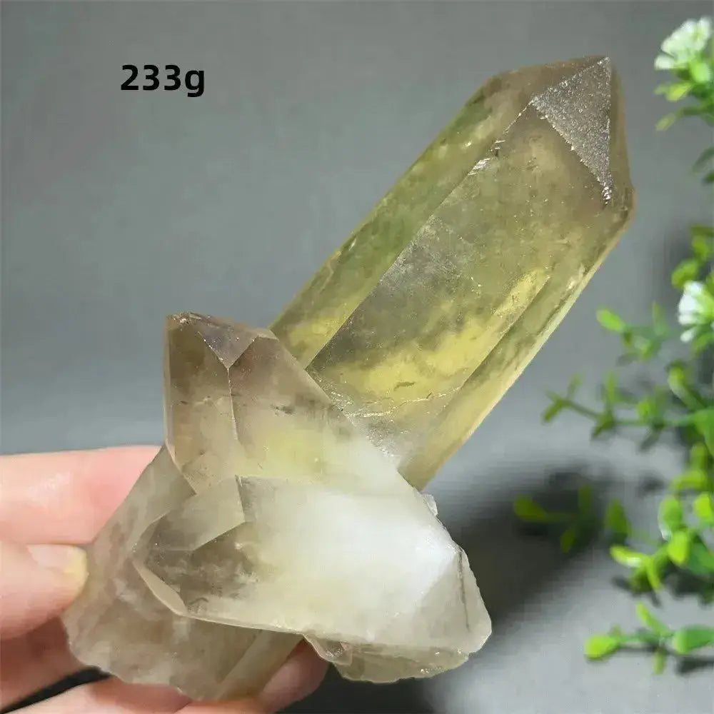 Citrine Crystal Clusters for Home Decor - Uplift Your Space Naturally-Points-Ali-Citrine-D4 233g-Crystal Destiny