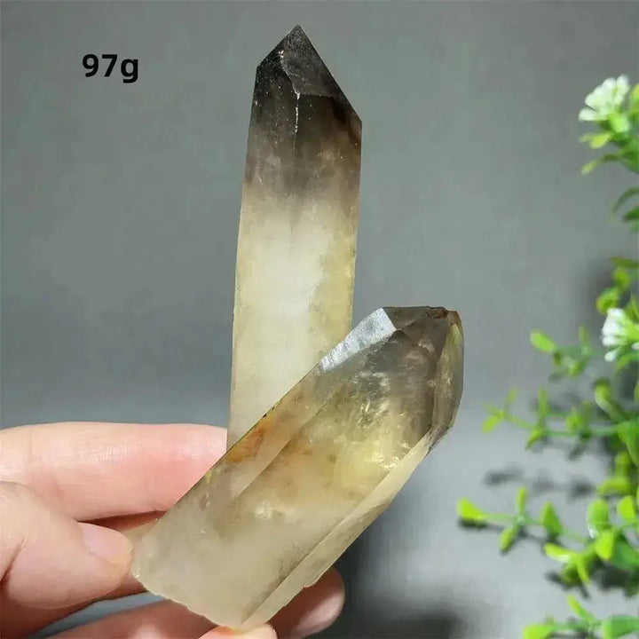 Citrine Crystal Clusters for Home Decor - Uplift Your Space Naturally-Points-Ali-Citrine-D6 97g-Crystal Destiny