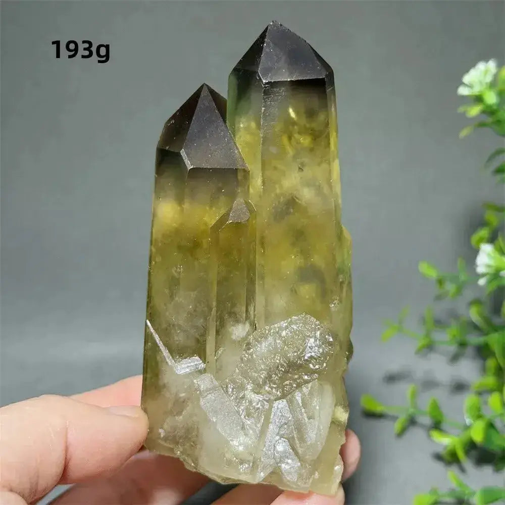 Citrine Crystal Clusters for Home Decor - Uplift Your Space Naturally-Points-Ali-Citrine-D9 193g-Crystal Destiny