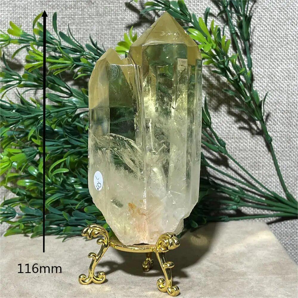 Citrine Double Point Freeform + Stand