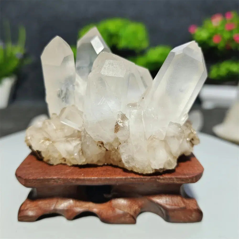 Clear Quartz Cluster