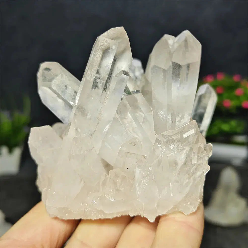 Clear Quartz Cluster