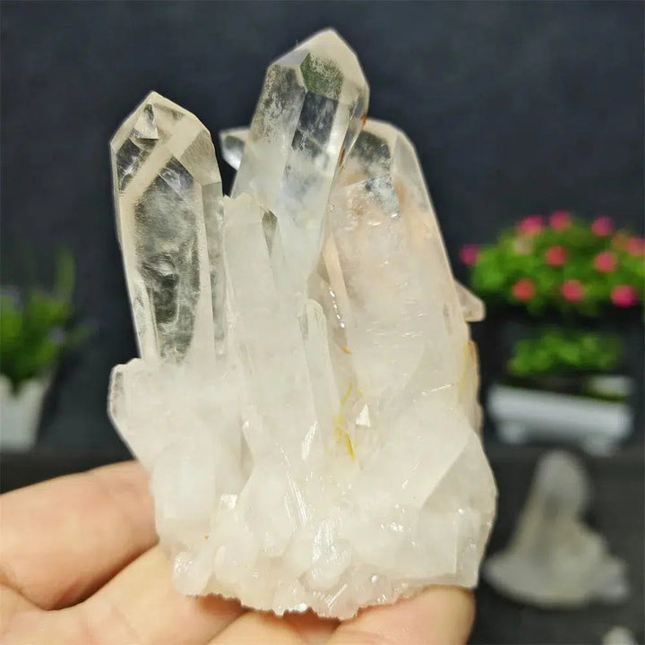 Clear Quartz Cluster