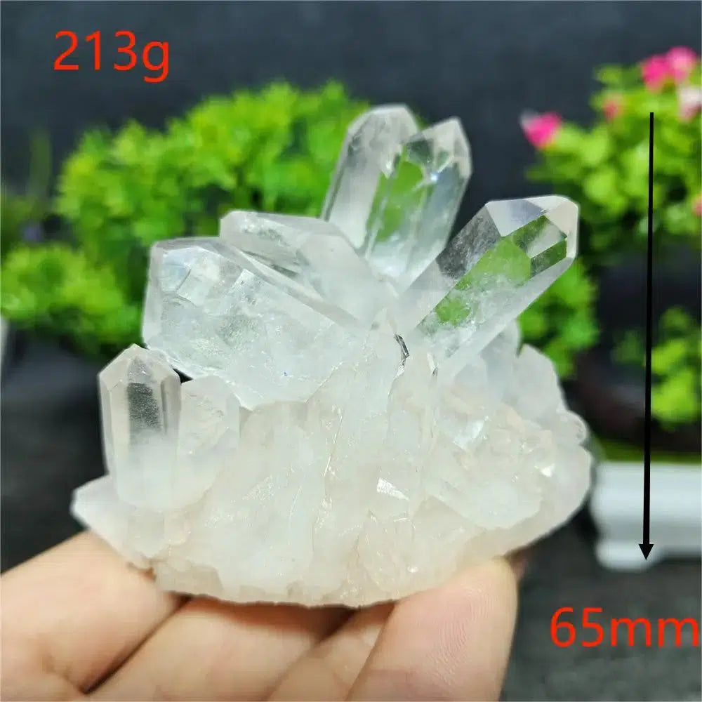 Clear Quartz Cluster