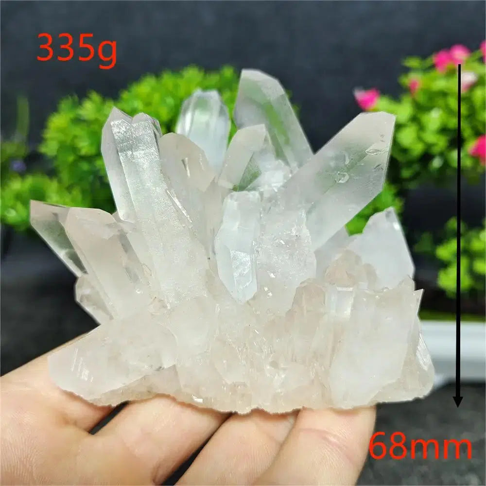 Clear Quartz Cluster