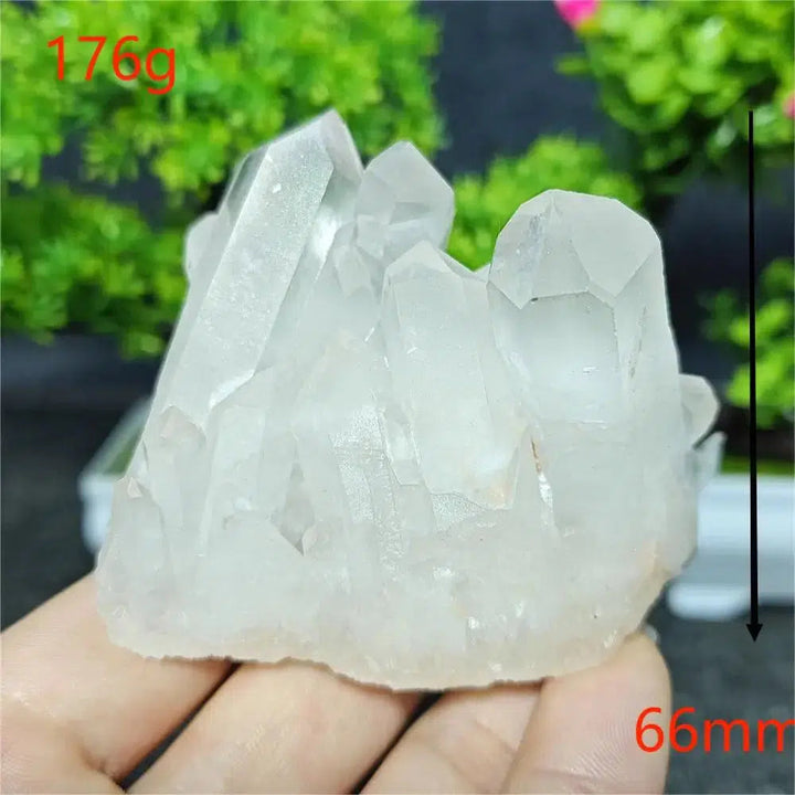 Clear Quartz Cluster