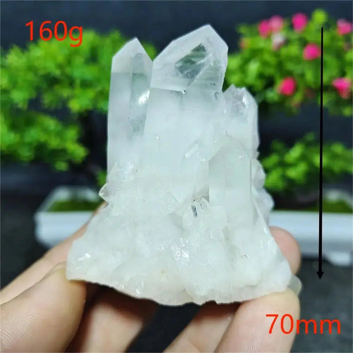 Clear Quartz Cluster