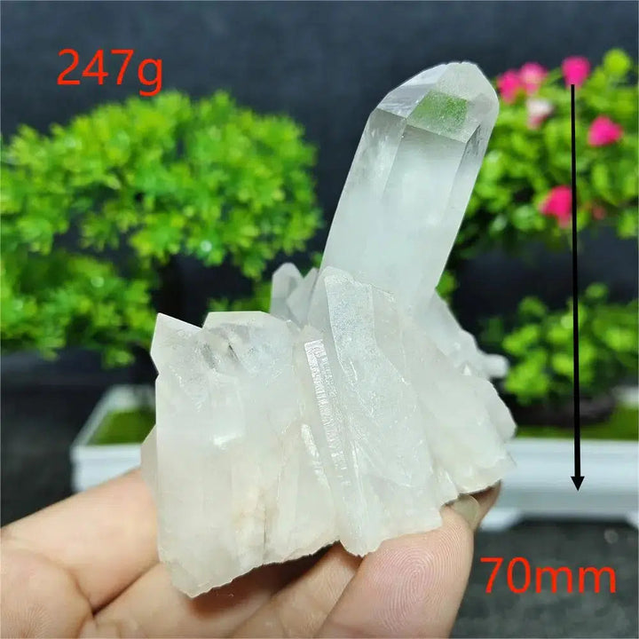 Clear Quartz Cluster