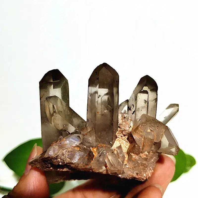 Clear Quartz Crystal Cluster