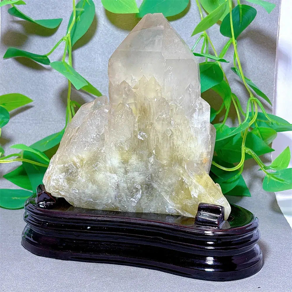 Clear Quartz With Citrine Cluster Specimen