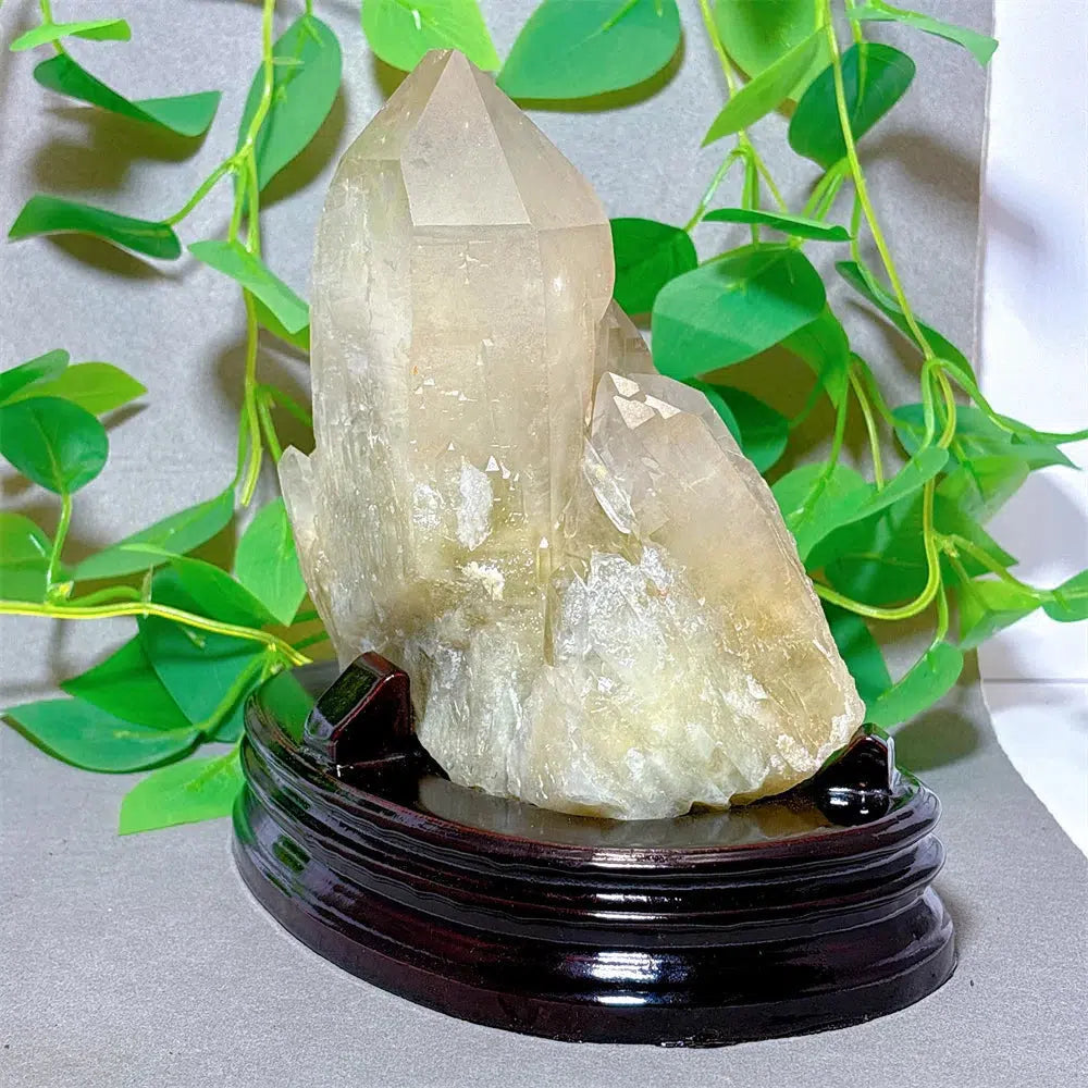 Clear Quartz With Citrine Cluster Specimen