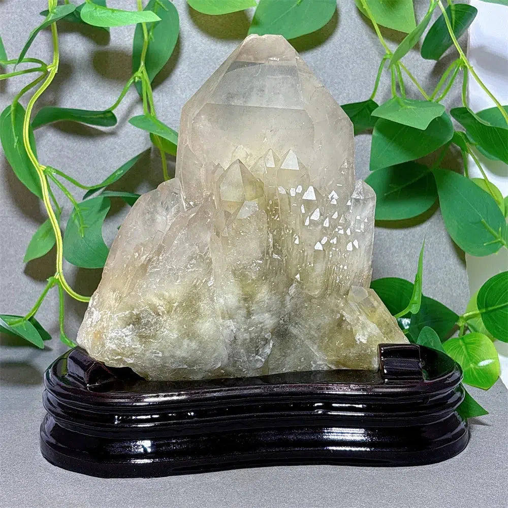 Clear Quartz With Citrine Cluster Specimen