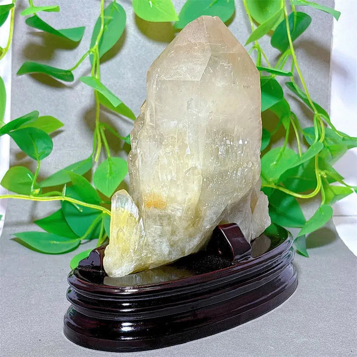 Clear Quartz With Citrine Cluster Specimen