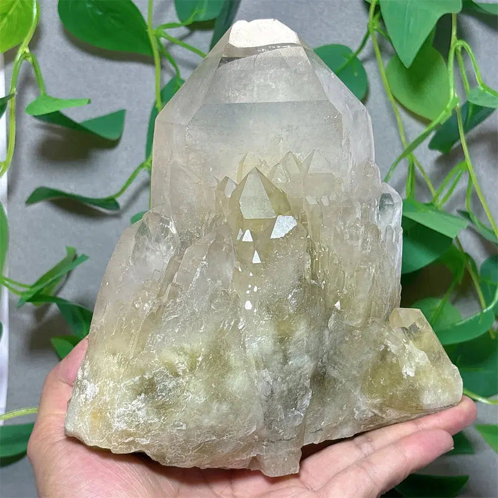 Clear Quartz With Citrine Cluster Specimen