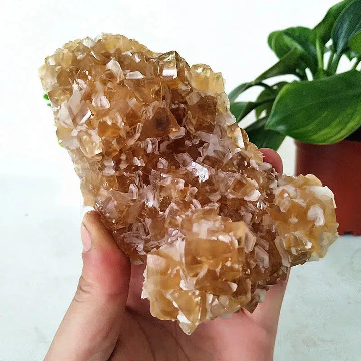 Clear Yellow Calcite Cluster