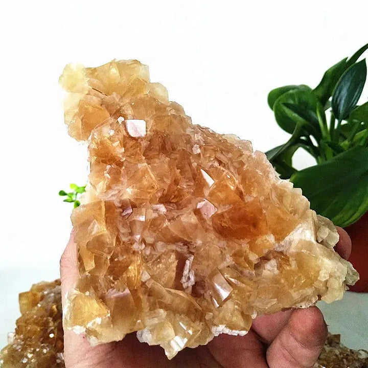 Clear Yellow Calcite Cluster