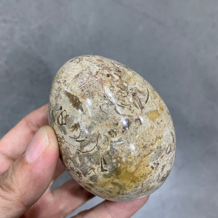 Coral Marble Egg