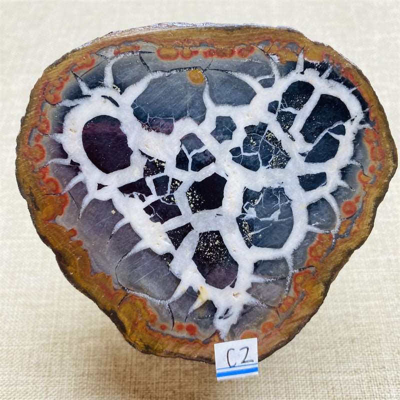 Cracking Stone Geode from India