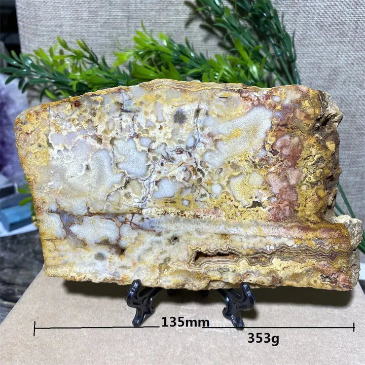 Crazy Lace Agate Slab + Stand