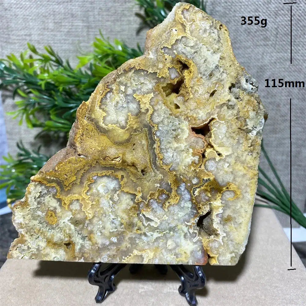 Crazy Lace Agate Slab + Stand