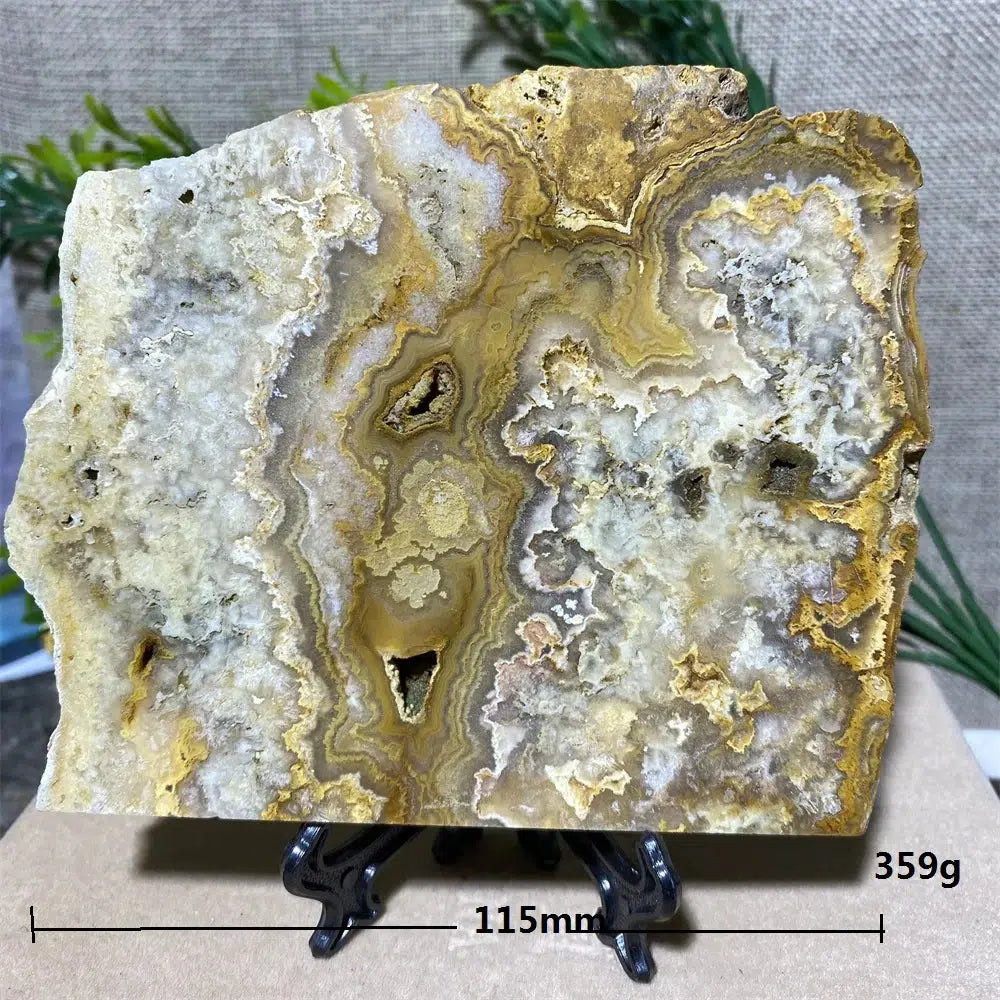 Crazy Lace Agate Slab + Stand