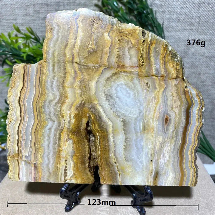 Crazy Lace Agate Slab + Stand