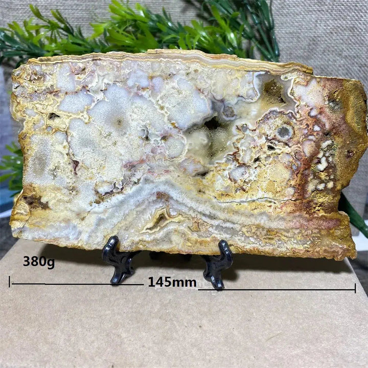 Crazy Lace Agate Slab + Stand