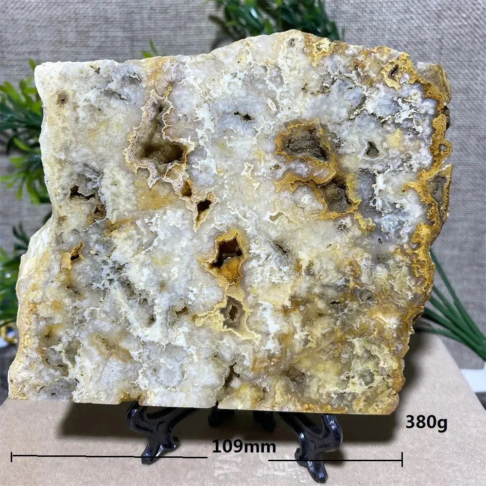 Crazy Lace Agate Slab + Stand