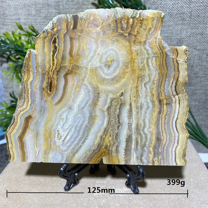 Crazy Lace Agate Slab + Stand