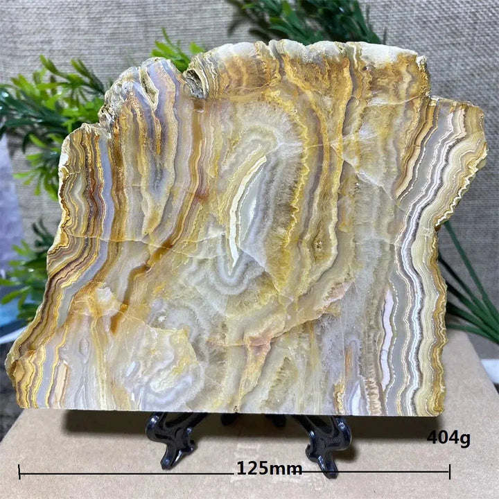 Crazy Lace Agate Slab + Stand