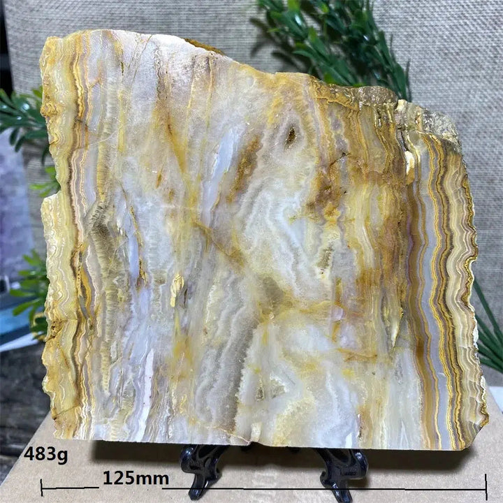 Crazy Lace Agate Slab + Stand