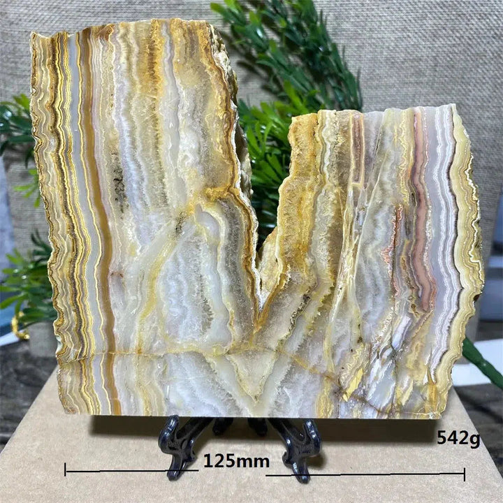 Crazy Lace Agate Slab + Stand