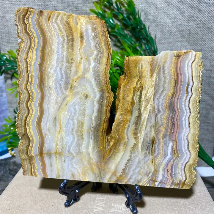 Crazy Lace Agate Slab + Stand