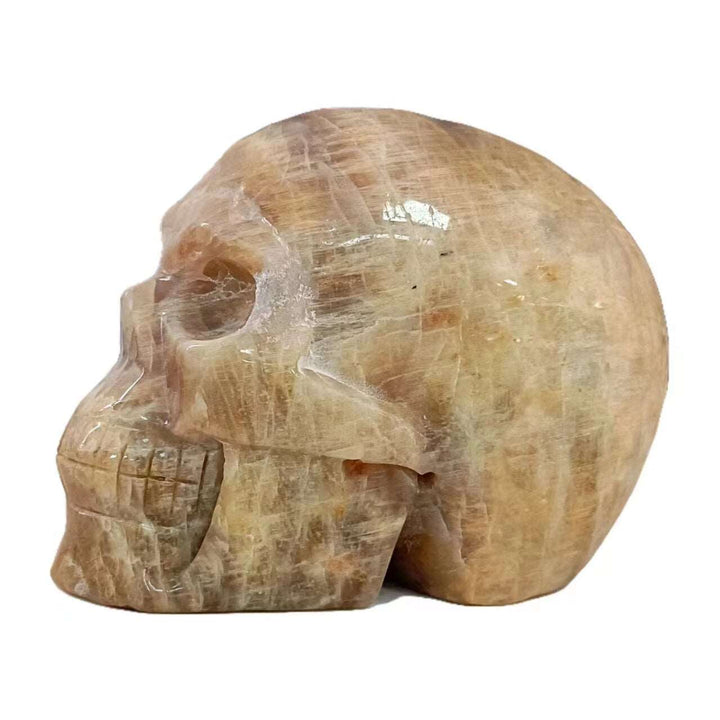 Crystal Skulls Sculpture | Pick From 31 Stunning Materials