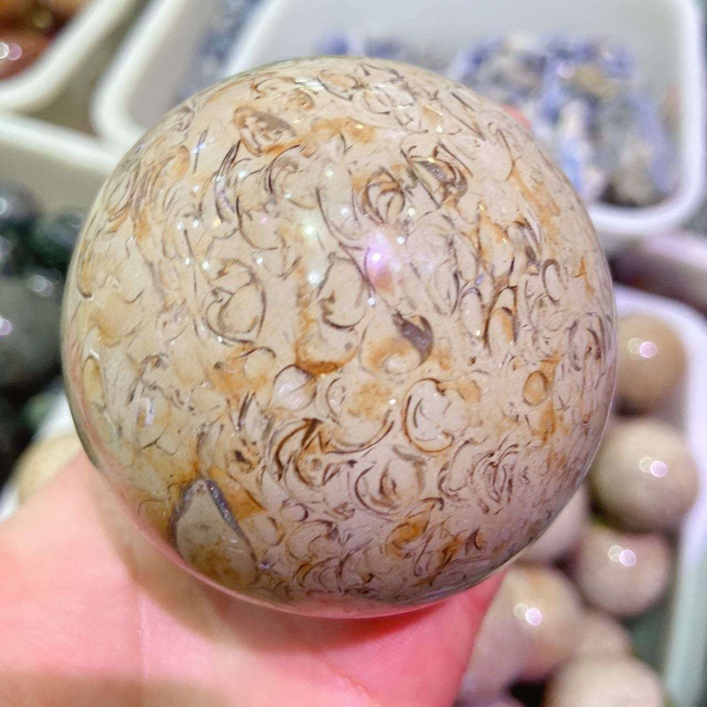 Dinosaur Bone Fossil Crystal Sphere