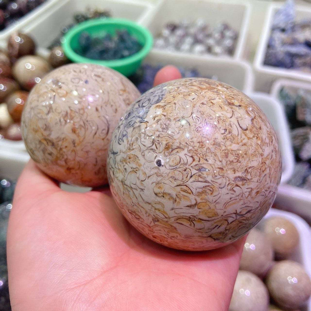 Dinosaur Bone Fossil Crystal Sphere